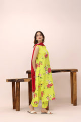 Marigold Mesh-FT748
